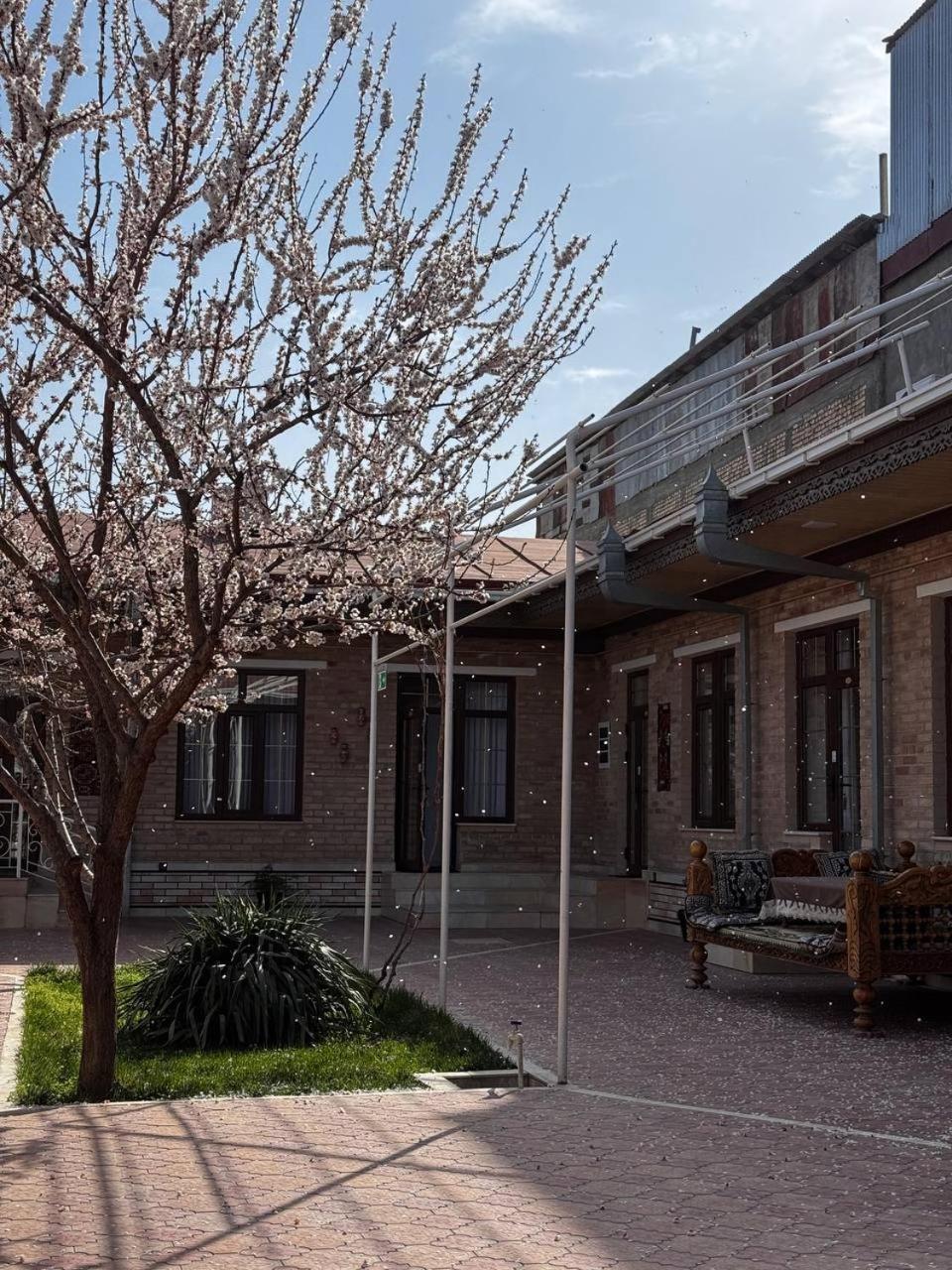 Salomat Guest House 사마르칸트 외부 사진